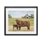 Stupell Industries Highland Cow And Calf Framed Print Under Glass, design by Jean Plout